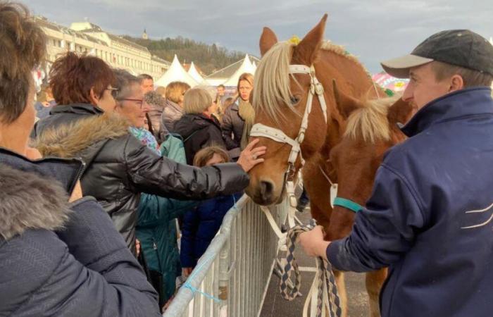 the crowd, Edouard Philippe and the RN at the meeting of the 728th edition