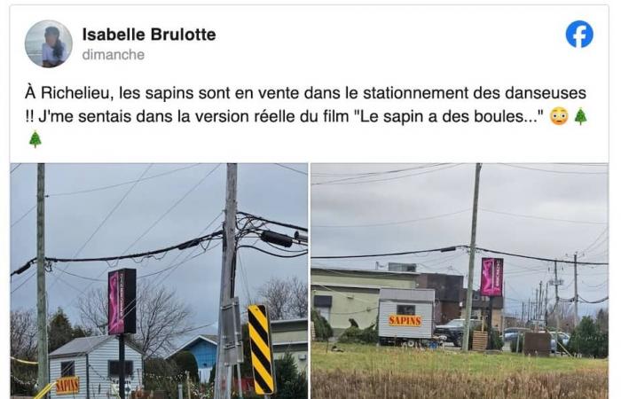 Christmas trees on sale in the parking lot of a nude dancer bar in Montérégie make Internet users smile