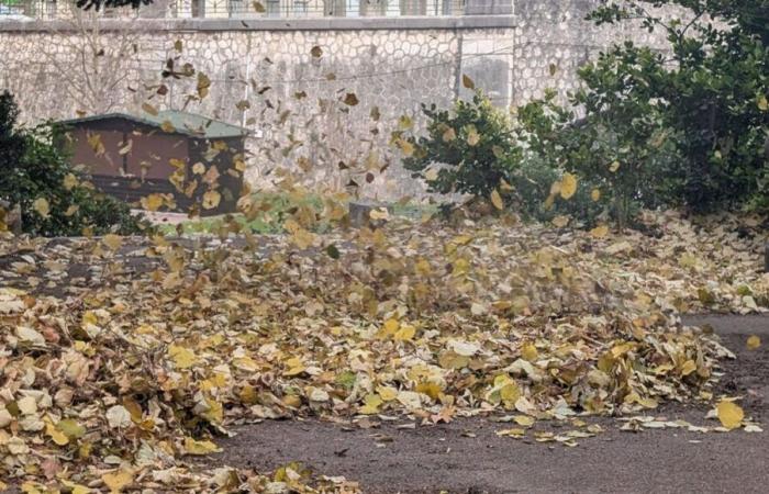 “We are better at home”, wind gusts of more than 100 km/h in Drôme and Ardèche