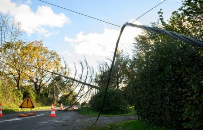 Météo France places nine departments on orange vigilance