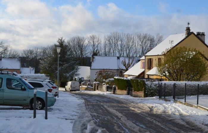 Langres gives wings to the tiger mosquito