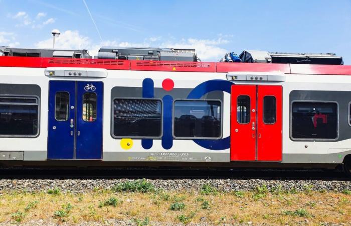 Strike, incident… Black day for trains in Occitanie this Monday