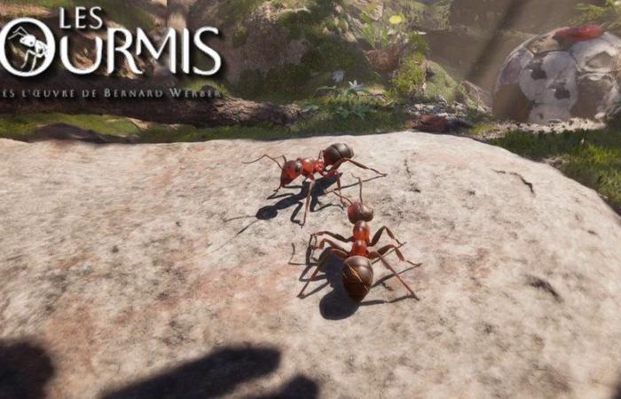 Our opinion on Les Fourmis, a surprising French strategy game adapted from the novel by Bernard Werber