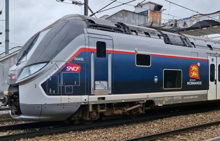 SNCF. Slowed down by bad weather and wild boars, a Caen-Paris journey arrives 7 hours late