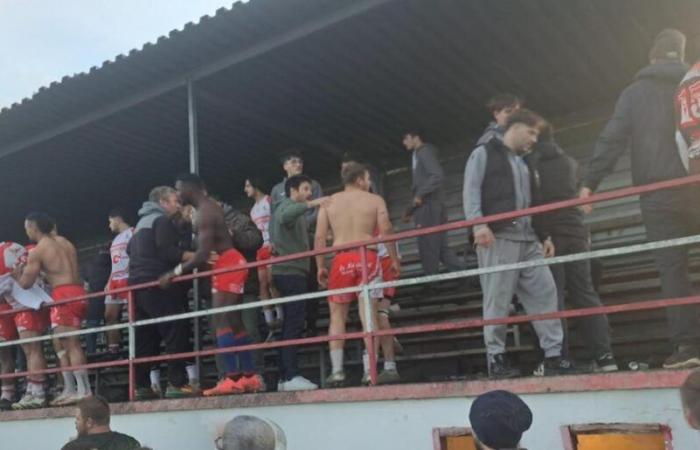 Video. Rugby: a fight breaks out in the stands after the Belvès match