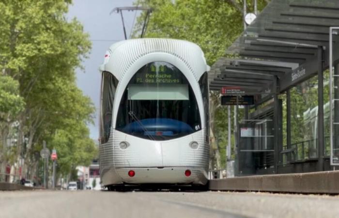 tram traffic severely disrupted