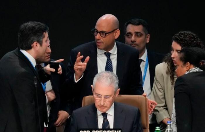 COP29 reaches agreement with bitter taste for countries of the South