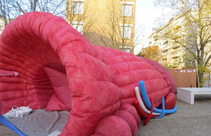 Toulouse. A giant prostate installed in a clinic to raise awareness about cancer screening