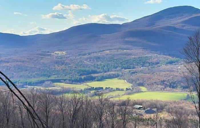 A “larger than life” conservation project in Estrie