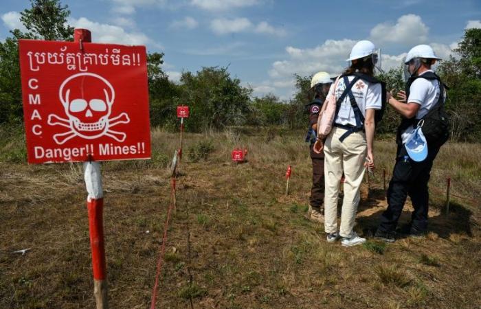 Arms sale to Ukraine: UN denounces “renewed threat” of anti-personnel mines