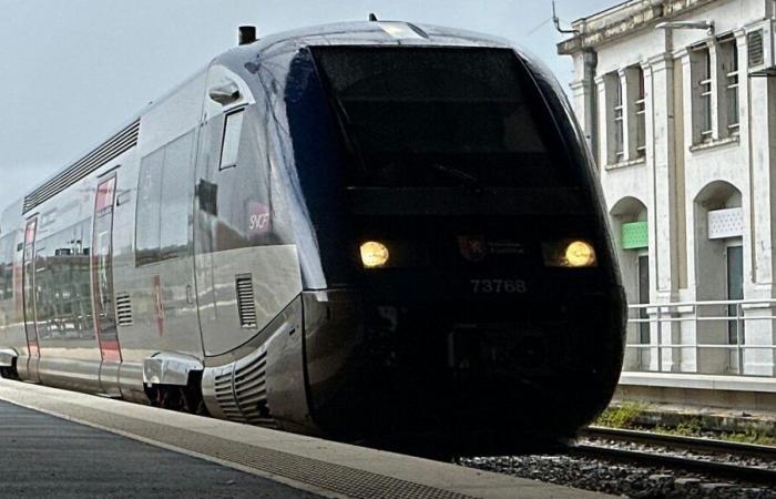 Trains late in Dordogne due to dead leaves