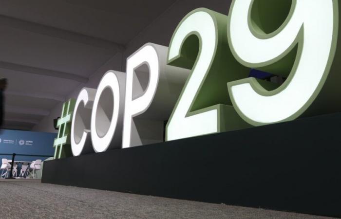 The lack of progress at COP29, a danger for human rights