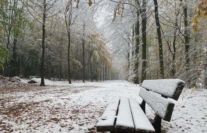 After the snow and wind, the park of this Orne castle closed all week