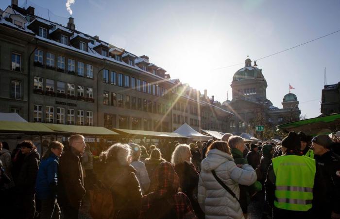 Zibelemärit in Bern: 33,655 kilos of onions were on offer