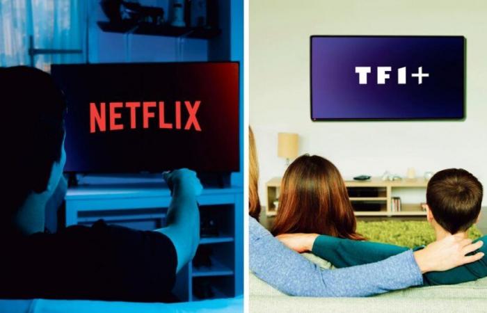 TF1 and Netflix join forces to co-broadcast a new daily fiction