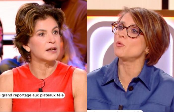 Anne Nivat upset by a question about her husband Jean-Jacques Bourdin on France 5 (VIDEO)