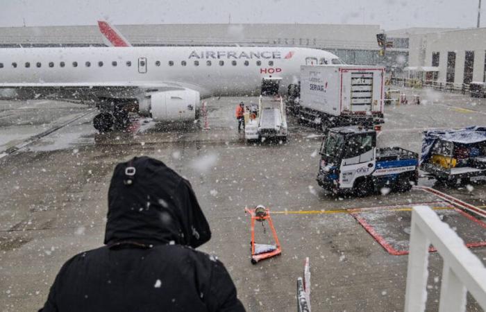 At Charles de Gaulle airport, a tourist searches for her dog who has been missing on the tarmac for a week, an “exceptional device” deployed by Air France – Libération