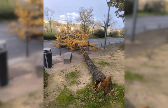 Storm Bert: impressive damage in Auvergne-Rhône-Alpes