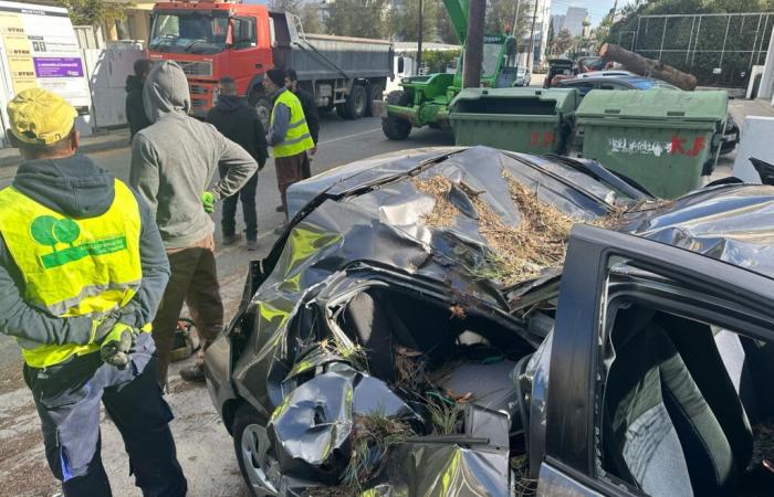 Crews clearing up aftermath of severe weekend winds, Nicosia mayors urge vigilance