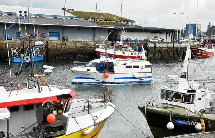 The headquarters of the mixed economy company Lorient Keroman searched by the national financial prosecutor's office