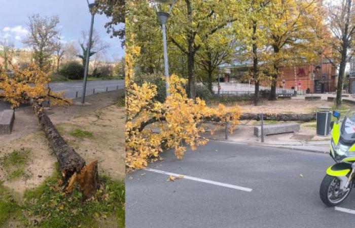 Storm Bert: impressive damage in Auvergne-Rhône-Alpes