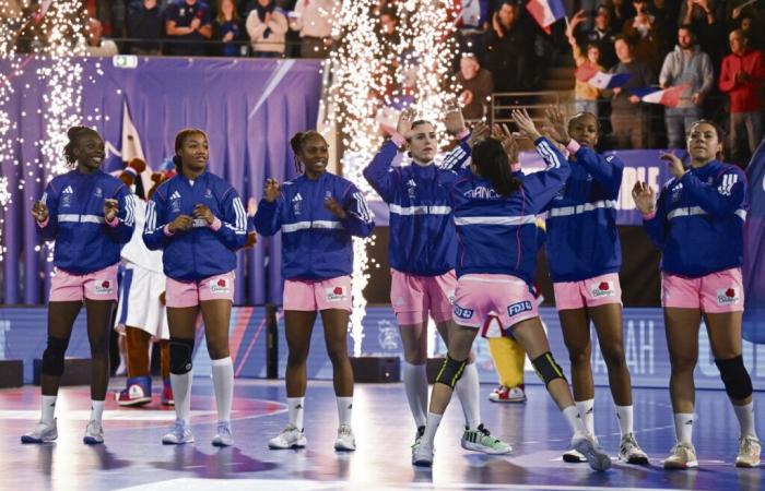 Handball: “I am part of the continuity of Olivier Krumbholz”, claims Sébastien Gardillou