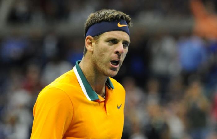 ATP > Del Potro's terrible confidences before his match against Djokovic: “Do I have to spend another 15 years of my life like this so that at 50 I can have a prosthesis and live more or less well until my sixties? “