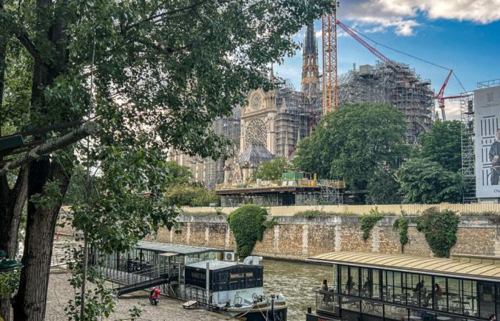 Reopening of Notre-Dame de Paris: the concert event with the artists expected this December 7