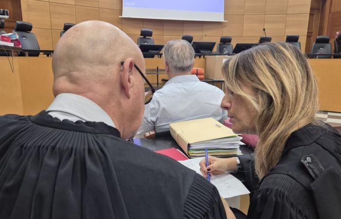 At the trial of Marcel Vadella for the murder and attempted murder of the Fadil brothers, the objectivity of the investigation and premeditation in question