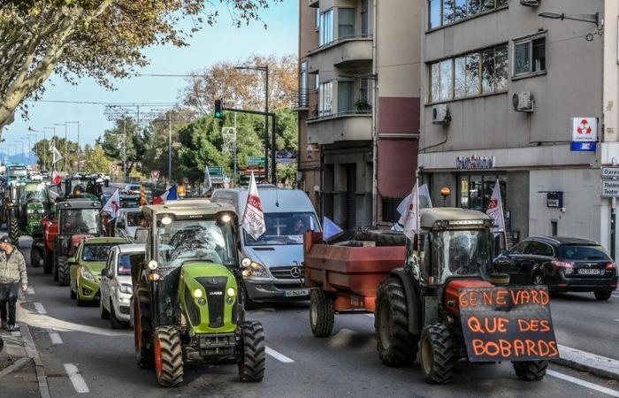 Agricultural mobilization: persistent drought, death of orchards, administrative burden, replacement of crops… the reasons for the anger in the Pyrénées-Orientales