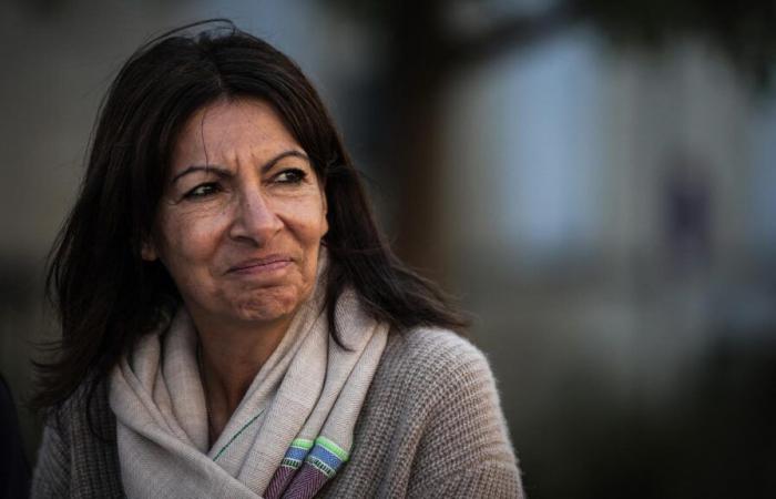 who are the main candidates ready to succeed Anne Hidalgo?