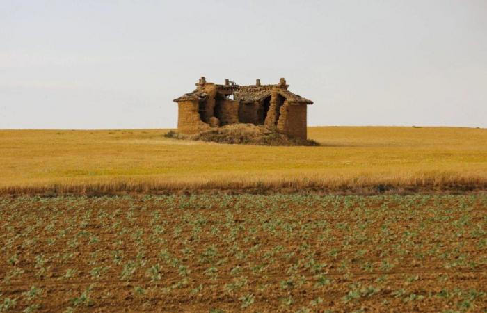 Castilla y León: Aid called for entrepreneurs in Tierra de Campos