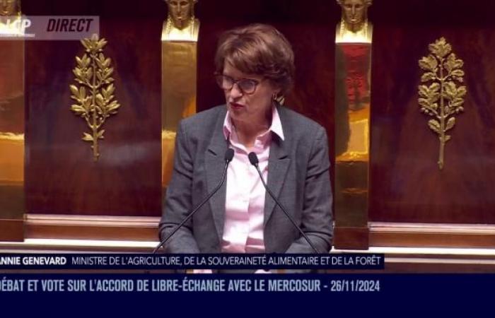 [DIRECT] Mercosur: government declaration followed by a debate and a vote in the National Assembly | LCP