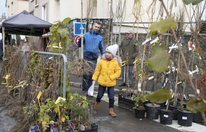 Despite the snow and the storm, this Orne fair survives: “It was complicated”