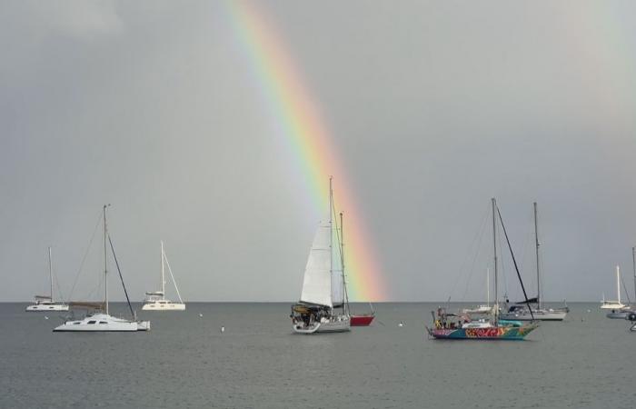 arrival in Marie-Galante of the two Amel Yachts Thauride V and Vagalonga, Maryse Etzol approaching