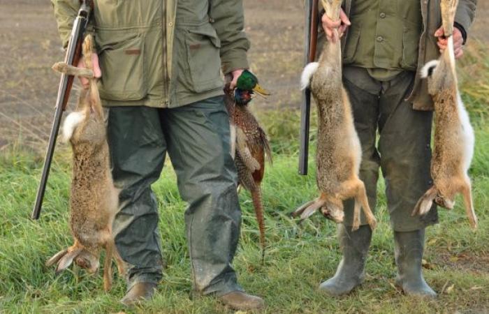 Haute-Marne will spend 450,000 euros of public money to support hunting!