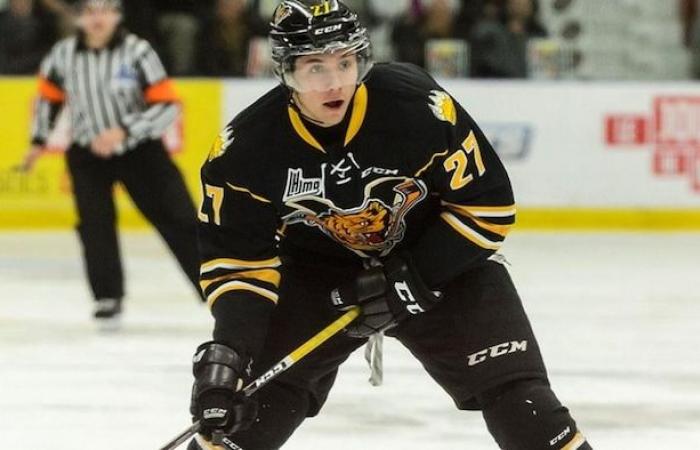 Former NHL prospect Gabriel Gagné guilty of sexual assault