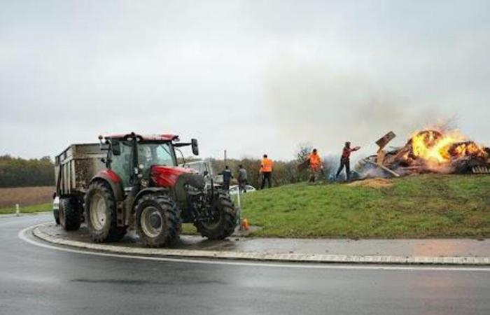 DIRECT. Anger of farmers, actions in Indre, Deux-Sèvres and Vienne