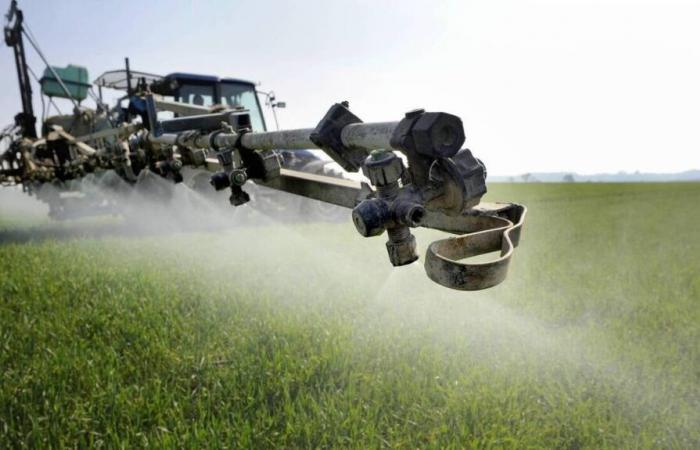 According to this group of experts, the use of pesticides is not decreasing in France