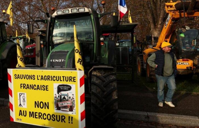 breeder Jérôme Bayle warns of the “survival” of a “divided” agricultural world