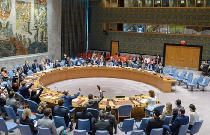 Lebanon files complaint against Israel with UN Security Council