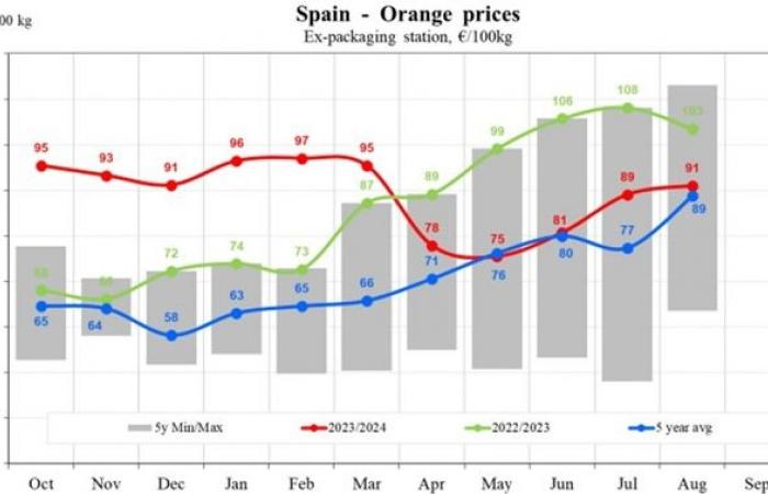 EU orange prices fall by 17.83% in 2024