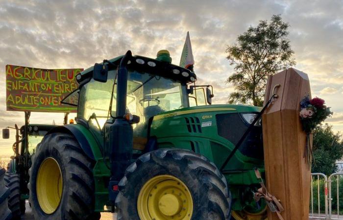 LIVE. Angry farmers: Demonstrators grouped together on their way to the prefecture, follow the mobilization in Perpignan this Tuesday