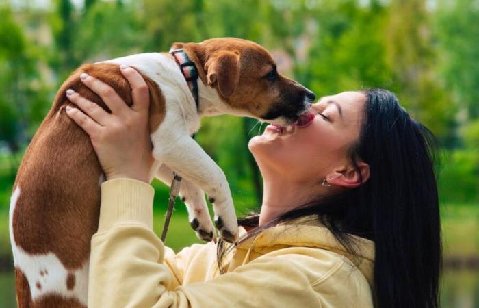 Hygiene: Don't let a dog lick your face