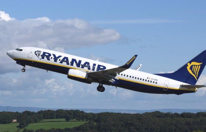 Increase in tax on plane tickets: Ryanair ready to leave Perpignan, the future of the airport threatened?