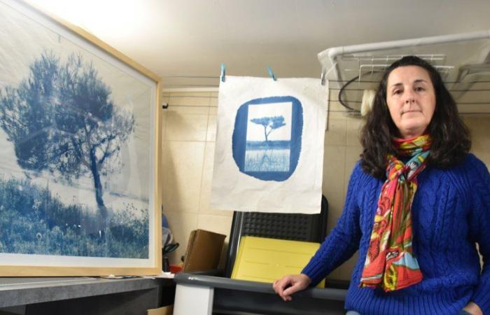 Fanette Bruel photographer in Bages sublimates nature thanks to a process dating from 1840: the cyanotype