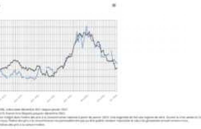 INSEE confirms a 0.2% drop in consumer prices in October 2024