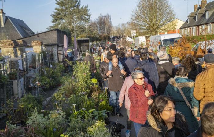 Despite the snow and the storm, this Orne fair survives: “It was complicated”