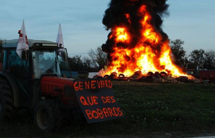 LIVE. Angry farmers: End of the blockade of the southern toll of the A9 in Perpignan, this Tuesday evening