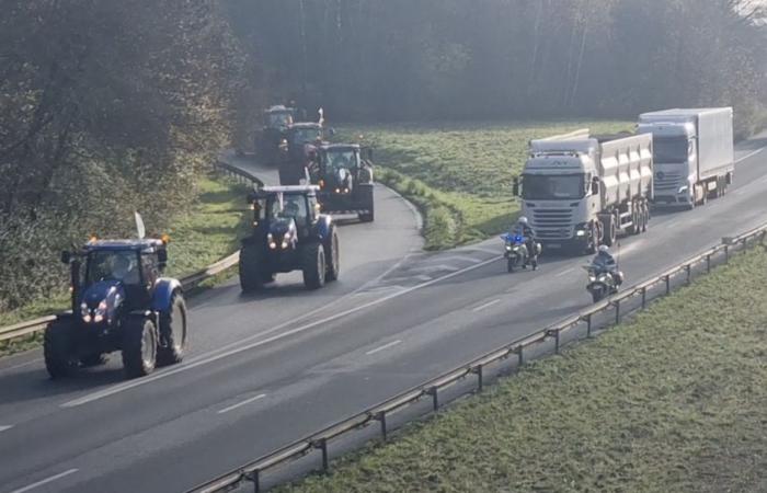 a huge procession of tractors takes the highway towards Lille